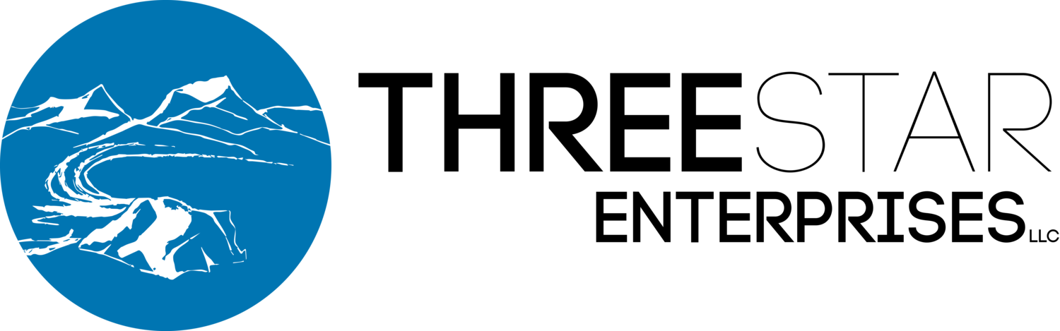 Three Star Government Solutions, LLC Logo