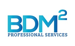 BDM Squared Professional Services Logo