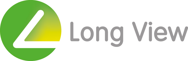 Long View Systems Corporation Logo